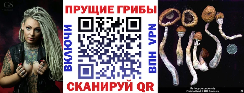 Купить закладки  Тайшет  Псилоцибиновые грибы MAGIC MUSHROOMS 